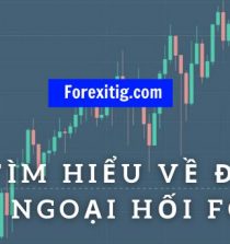 Nên Tìm Hiểu Kỹ Đầu Tư Ngoại Hối Forex