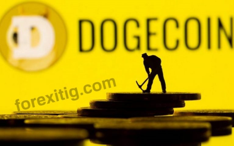 Dogecoin là gì Nên thận trọng đầu tư DOGE