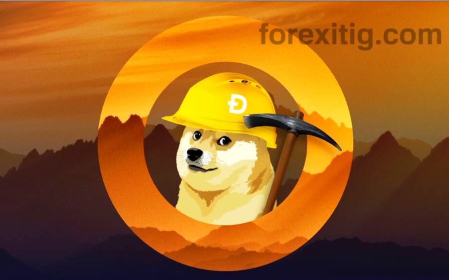 Hình thức hoạt động Dogecoin