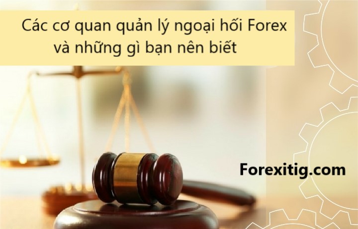 Các cơ quan quản lý ngoại hối Forex và những gì bạn nên biết