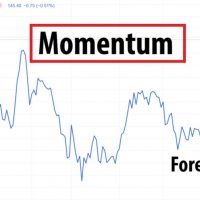 Momentum là gì? cách dùng, công dụng và công thức để phân tích xu hướng
