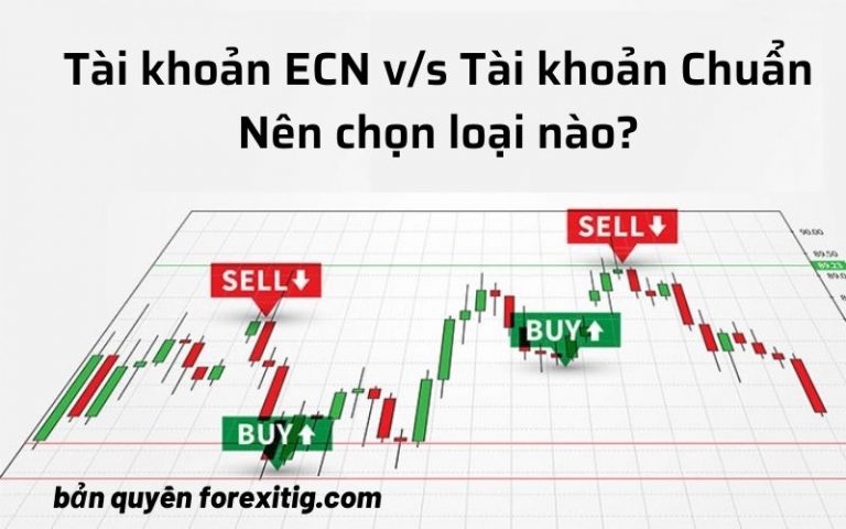 Tài khoản ECN vs Tài khoản Chuẩn