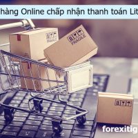 Top 6 cửa hàng online lớn chấp nhận Litecoin năm 2024