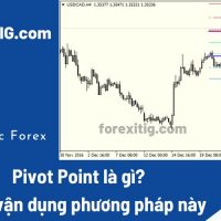 Pivot Point là gì? Cách vận dụng phương pháp này