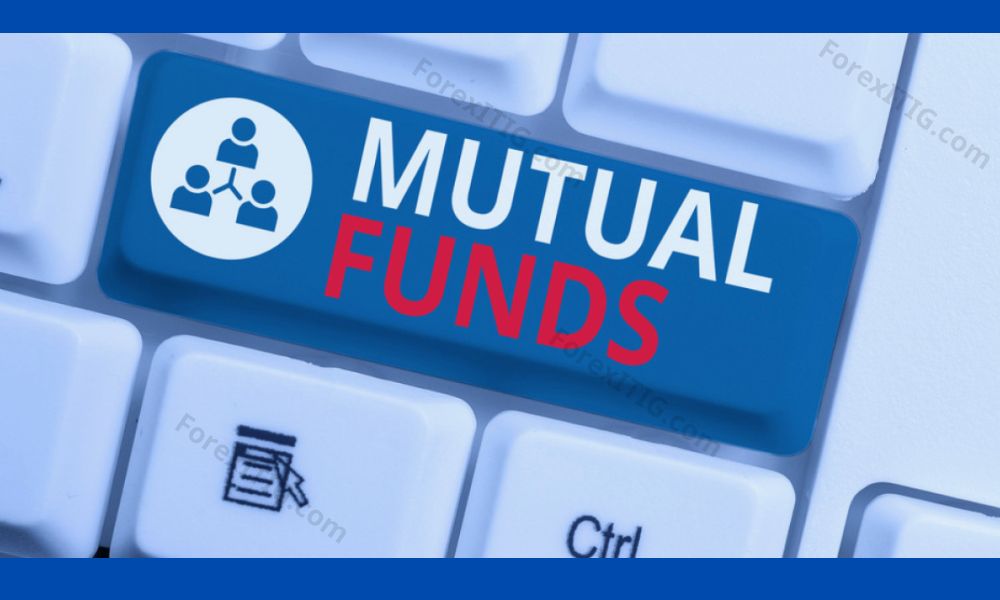 Quỹ đầu tư tương hỗ (Mutual Funds)